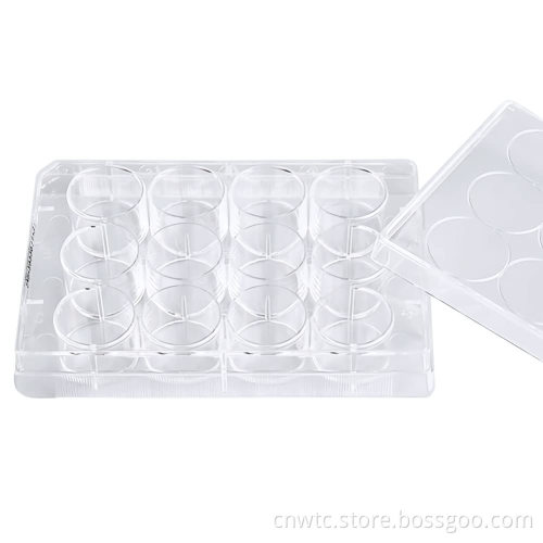 6Wells, 24Wells, 48Wells, 96Wells Cell and Tissue Culture Plates with Tc Treatment: A Comprehensive Guide